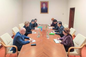 Türkmenistanyň Mejlisinde Fransiýa Respublikasynyň senatory bilen duşuşyk geçirildi