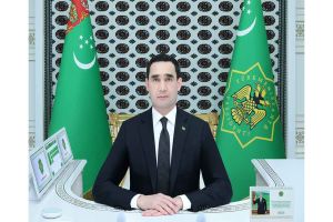 Türkmenistanyň Prezidenti sanly ulgam arkaly iş maslahatyny geçirdi
