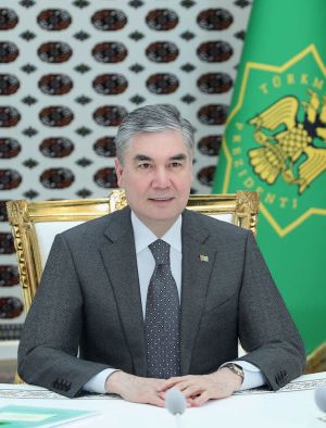Türkmenistanyň Prezidenti sanly ulgam arkaly iş maslahatyny geçirdi