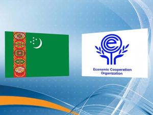 Türkmenistanyň Prezidenti Ykdysady Hyzmatdaşlyk Guramasynyň Baş sekretaryny gutlady