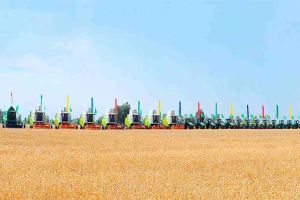 Watan harmanyna 1 million 400 müň tonnadan gowrak bugdaý hasyly tabşyryldy